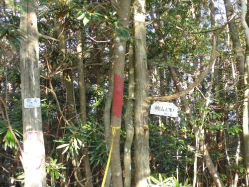 棚山山頂